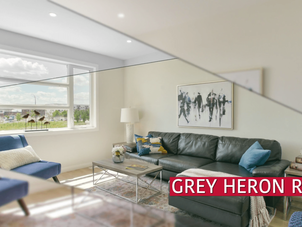 Grey Heron Rise&nbsp;Slideshow